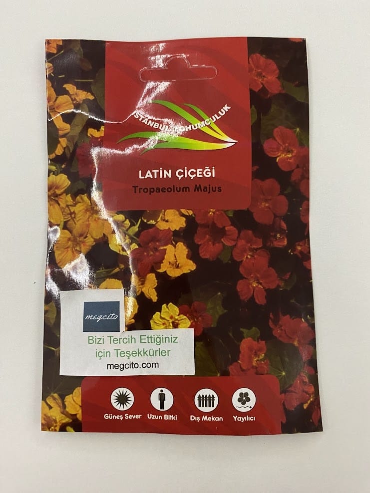 latin-cicegi-3-49ebc37