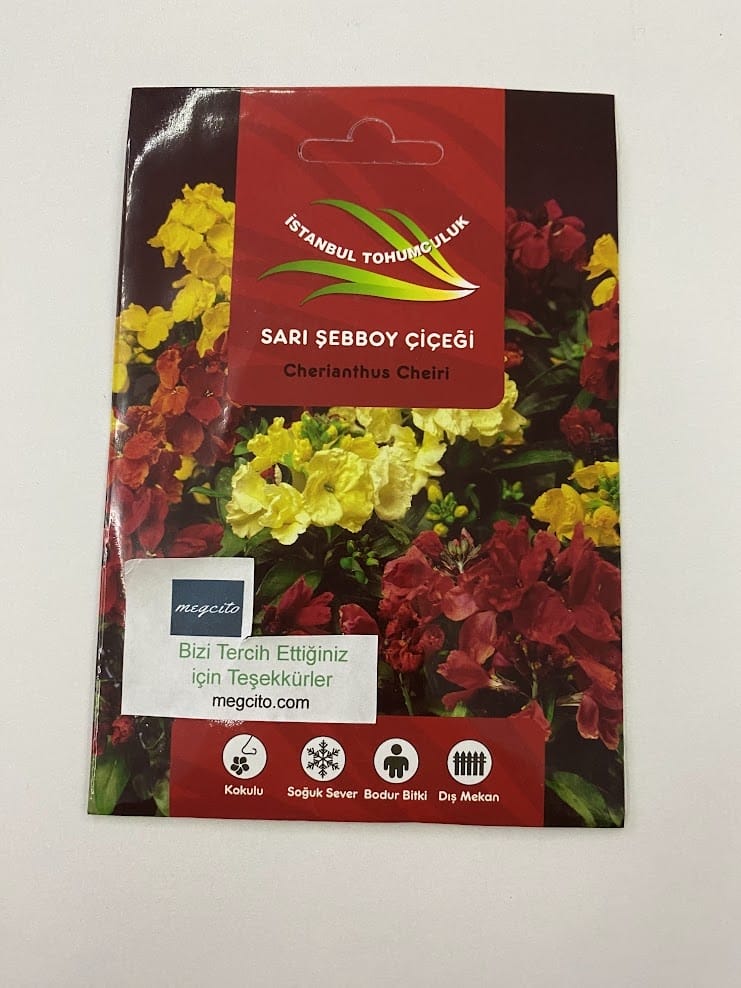 sebboy-sari-3-d03198e